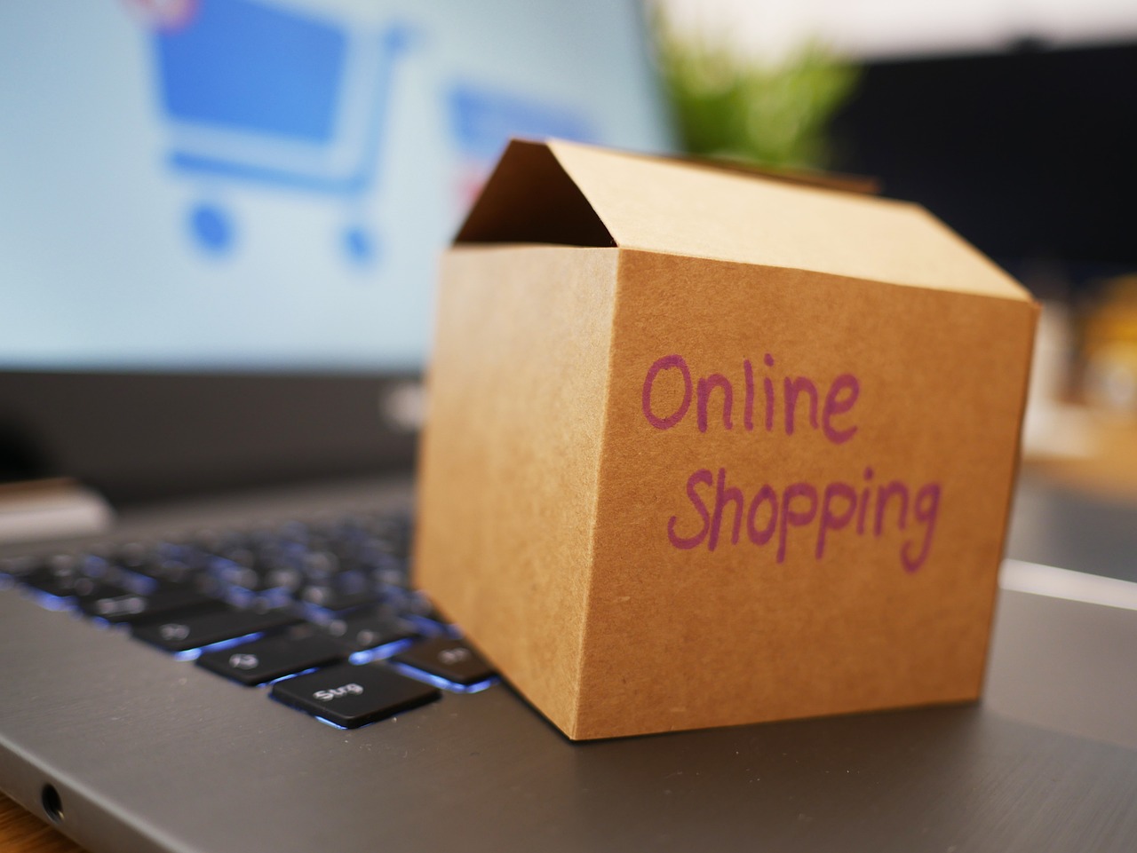 onlineshop waldshut tiengen marketing waldshut